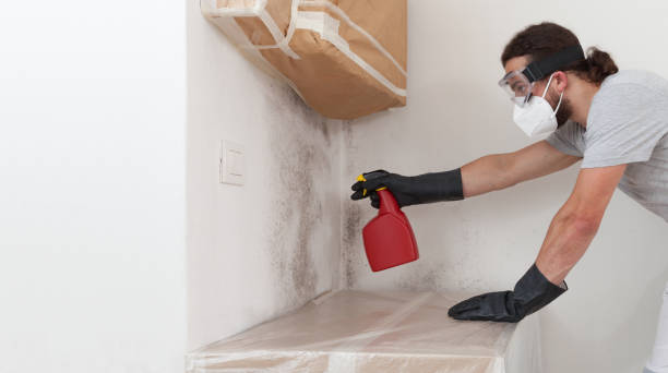 Professional Mold Remediation technician working in Hays, NC