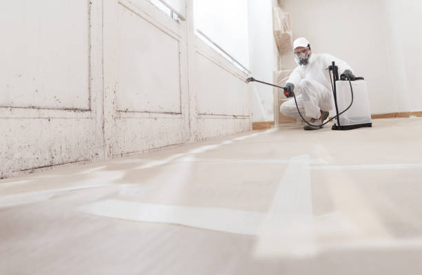 24/7 Emergency Mold Remediation experts in Hays, NC