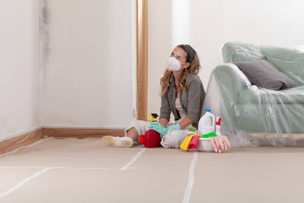 Reliable Mold Remediation contractor in Hays, NC by 24 Hour Mold Removal
